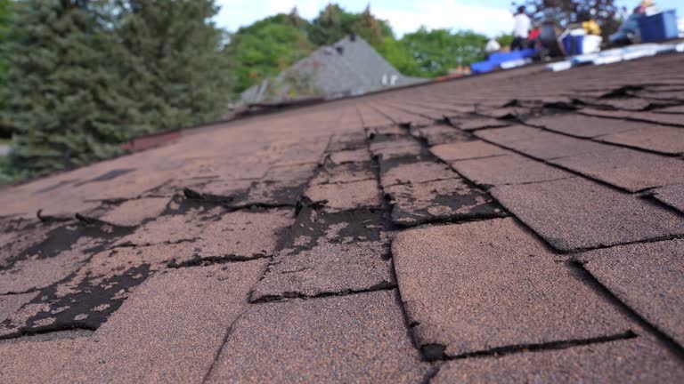 Best Hot Roofs  in Urbana, OH